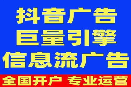 搜索引擎优化（SEO）与竞价广告（SEM）的对比案例