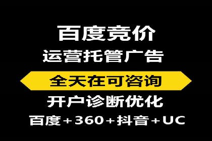 行业标杆：SEM托管公司案例解析